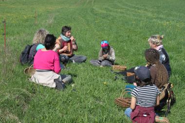 Frühlings-Kräuterwanderung mit Workshop und magischer 9-Kräuter-Suppe